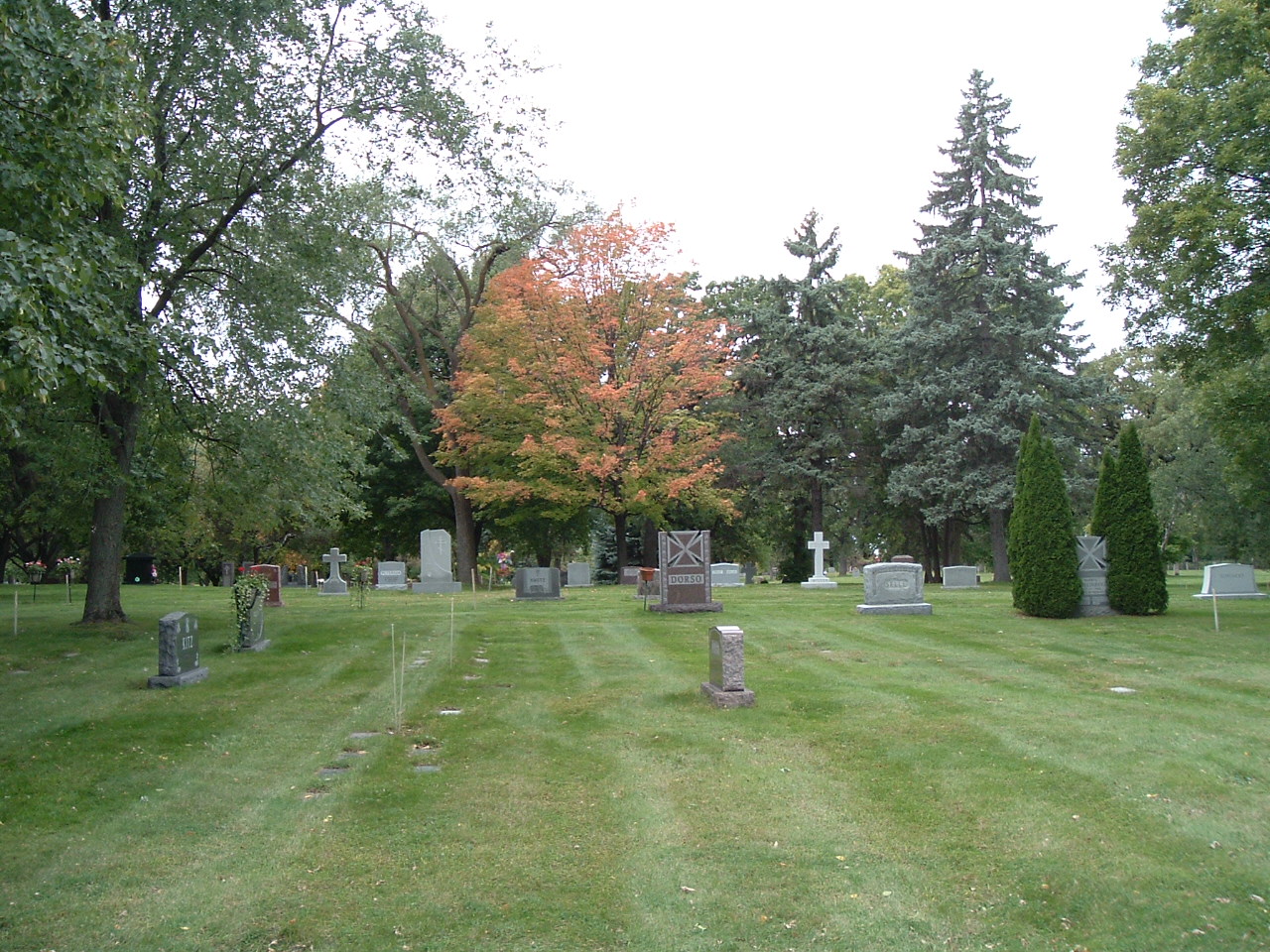 Recovery of Abandoned Minnesota Cemetery Lots Non